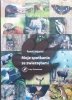 Paweł Fabijański Moje spotkania ze zwierzętami
